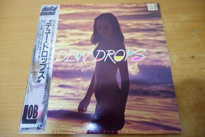 LDa-2000＜帯付＞”デュー・ドロップス”