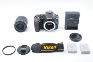 [美品] Nikon ニコン D5600 + AF-P 18-55mm レンズ #441A