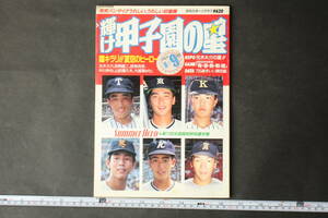 4603 日刊スポーツグラフ 輝け甲子園の星 瞳キラリ！！夏空のヒーロー 第71回全国高校野球選手権 平成元年10月1日発行 1989年 8+9月号