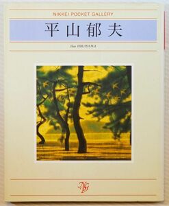 画集 「平山郁夫 (日経ポケット・ギャラリー)」平山郁夫　日経新聞社 B6変形 107705