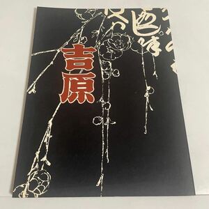 辻村ジュサブローの世界 吉原 失なわれた文化を求めて 図録 作品集 昭和56年発行 吉原遊郭 花魁 遊女 人形 写真集