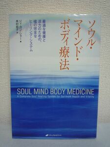 ソウル・マインド・ボディ療法 最適な健康と活力のための、魂の完全なヒーリング・システム ★ ジィガンシャー ◆ はじめに魂を癒しなさい