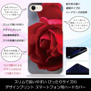 AQUOS PHONE Xx mini 303SH ハードケース 赤い薔薇 バラ 華 花柄 ゴシック レッド スマホケース スマホカバー プリント