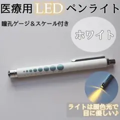 ペンライト LED 医療 ホワイト 白 看護師 ナース 医療用ペンライト