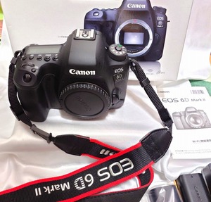 Canon EOS 6D MarkII ボディ 中古