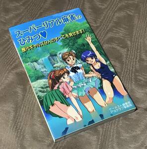 即決　スーパーリアル麻雀のひみつ 歴代ギャルズ９人のすべてを見せます！ ゲーメスト編集部　検索：設定資料集 画集 イラスト集