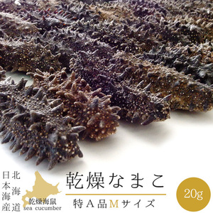 乾燥ナマコ Mサイズ 特A級品 20g【特Aランク 北海道産】乾燥なまこ 金ん子 北海キンコ 海参！干しなまこ【メール便対応】