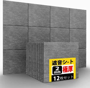 楽器練習に 遮音シート 厚さ2mm 12枚 防音対策を手軽に 軟質 防音シート 吸音材 防音材密度 約2.1kg/㎡ 30cm×30cm×2mm Evenreach