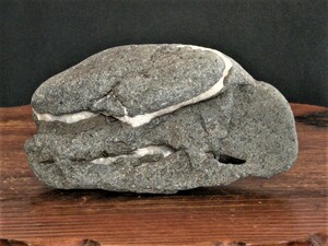 《水石・岩潟石》◆襟巻き石・穴あき石◆巣立■左右：約14cm/重さ：約736g