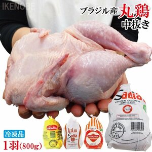 丸鶏肉中抜き800ｇ冷凍 1羽ローストチキン用などに ブラジル産 丸鳥 グリラー サムゲタン 国産ではない ハラール認証 Halal