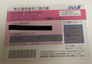 ANA 全日空 株主優待券 1枚※2024年6月1日〜2025年5月31日