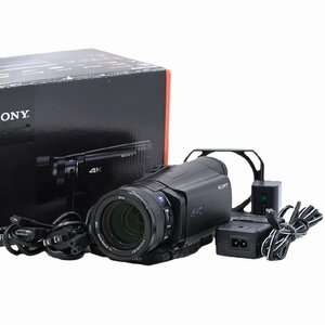 ソニー SONY FDR-AX100 4K 光学12倍 ブラック Handycam