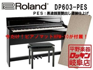 Roland DP603-PES 黒塗鏡面艶出し塗装仕上げ
