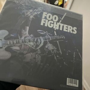 Foo Fighters Hail Satin (2021) Made in US New バイナル 新品未開封 Limited Edition RSD 海外 即決