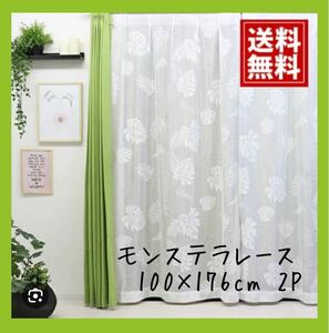 超特価☆モンステラレースカーテン☆100×176cm 2枚入り