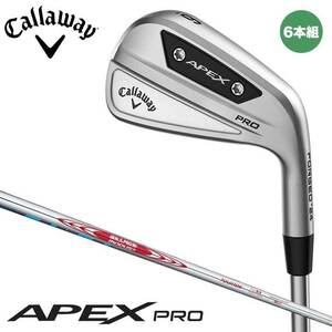 キャロウェイ エイペックス プロ 24 アイアン 6本組(#5～9、PW) シャフト：N.S.PRO MODUS3 TOUR 105 S スチール 日本正規品 2024 即納