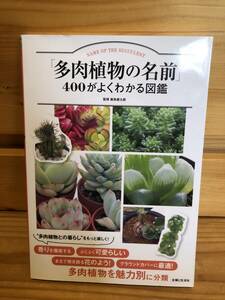 ※送料込※「多肉植物の名前　400がよくわかる図鑑　飯島健太郎　主婦と生活社」古本