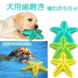 犬用歯磨き 噛むおもちゃ ヒトデ形犬歯ブラシ ワンちゃんのおもちゃ ペット用歯クリーナー 歯石の掃除に DOGTB005/ブルー