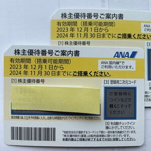 ANA 全日空 株主優待券 2枚セット★2024年11月30日まで　送料無料