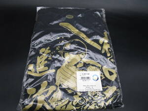 阪神タイガース　桧山 　2012　現役　引退記念　Tシャツ　フリーサイズ　 旧ユニフォーム時代　未使用　送料600円（GG32
