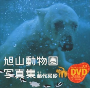 　旭山動物園写真集　DVD付　撮影・藤代冥砂氏のサイン入り