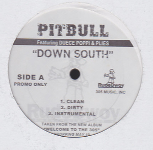 ⑮12) PITBULL feat. DUECE POPPI & PLIES / DOWN SOUTH