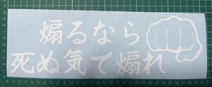 大サイズ　カッティングステッカー　シール　トラック　デコトラ　文字　拳　空手　格闘　煽り　悪
