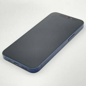 部品取り専用 ジャンク品 通電不可 Apple アップル iPhone 12 mini 64GB ブルー SIMロック解除済み SIMフリー 1円 から 売り切り