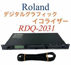 Roland ローランド 31バンド 2ch Digital Graphic Equalizer デジタルグラフィックイコライザー RDQ-2031