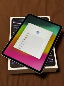 iPad Pro 11インチ Wi-Fi 256GB M2 シルバー 2022年モデル 美品です