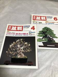 【即決】月刊 近代盆栽　KINBON　2009年4、6月号　近代出版　