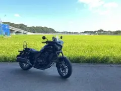 ホンダレブル1100シーシーバー