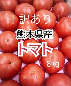 毎年大好評！ 熊本県産 訳あり トマト 8kg程度