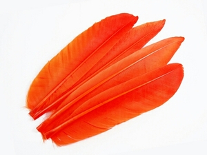 高品質！グースクイル 2対（4本入り）【オレンジ】 フライマテリアル・フェザー／鳥の羽根・毛針・毛鉤・タイイング 装飾用にもどうぞ！