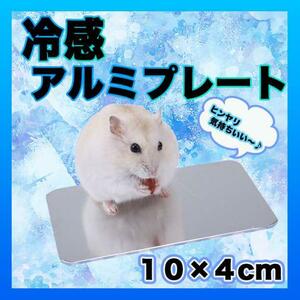 冷感アルミプレート 10×4cm クール 小動物 熱中症対策 ハムスター ペット