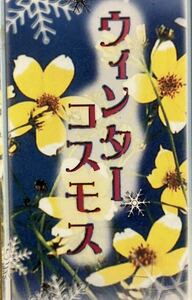 ウィンターこすもす 苗20ポット