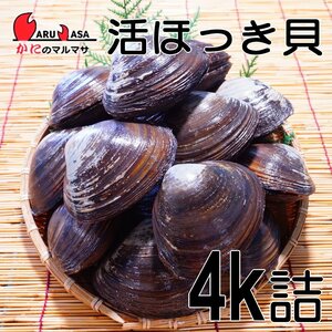 【かにのマルマサ】北海道産 活ホッキ貝 4キロ詰（12～16個入）