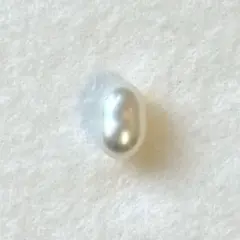 パール　ルース　南洋真珠　白蝶ケシ　オーバル　9.３mm X 14.８mm１pc