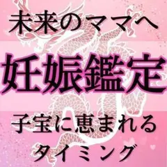 現役霊能者による妊娠鑑定/妊活/自然妊娠/不妊治療/霊視占い【初回限定価格】