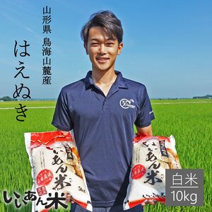 山形県庄内産　『はえぬき』　白米１０ｋｇ(５ｋｇ２袋)　慣行栽培米　産地直送　いいあん米　令和５年産　送料無料！！　米　お米　人気