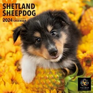 シェットランド・シープドッグ PICTWAN (ピクトワン) カレンダー DOG 【S版】 2024年カレンダー24CL-50042S