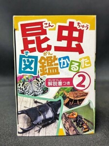 かるた 昆虫図鑑かるた 解説書つき2 パーティーグッズ イベント 知育玩具 B240117