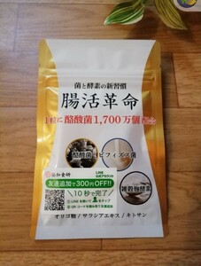 ★送料無料★腸活革命★31粒×1袋★届いたばかりです^_^ 1粒に酪酸菌1700万個配合★コンブチャ 生 酵素 サプリメント★新品未開封★即決♪