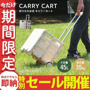 【数量限定セール】キャリーカート 折りたたみ 階段 ワゴン 台車 ショッピングカート 容量45L 大容量 耐荷重35kg キャスター付 フタ付