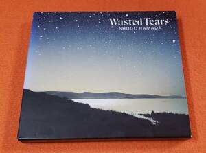 浜田省吾 初秋(Early Autumn)(SACD（ハイブリッド）仕様) + Wasted Tears ２点セット