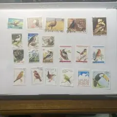 愛鳥週間① 外国切手（使用済・美品）鳥類　20種