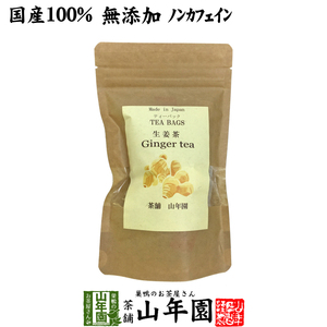 健康茶 国産100% 生姜茶 ジンジャーティー 2g×12パック 熊本県産 送料無料