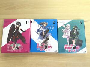 024(28-11) Blu-ray 痛いのは嫌いなので防御力に極振りしたいと思います。初回限定版 全3巻 セット盤面良好