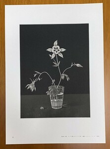 長谷川潔　「コップに挿したアンコリの花」 1965年　コロタイプ・プリント（1972年）　限定500部　エスタンプ (11)