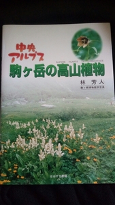 ▼ 中央アルプス 駒ヶ岳の高山植物 送料無料 中央アルプス 登山 山登り 花　植物 ③mr